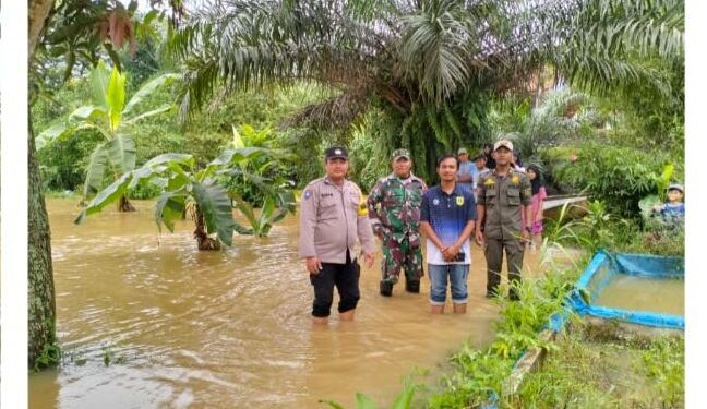 Kali Sikabayan Meluap, Lebih dari 1000 Tambak Terdampak