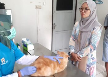 Pemkab Bogor Hadirkan Vaksinasi Hewan Gratis, Ini Lokasinya