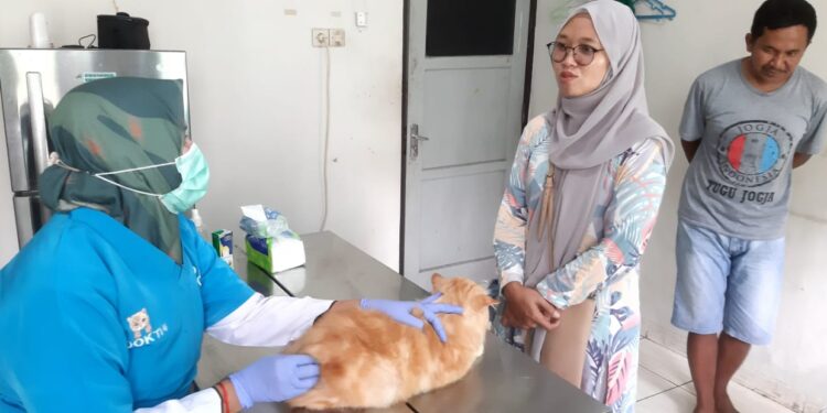 Pemkab Bogor Hadirkan Vaksinasi Hewan Gratis, Ini Lokasinya