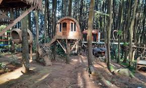 Pengelola Wisata Alam Disidak Gara-gara Paku Pohon Pinus