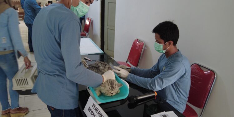 Meriahkan HJB ke-542, Masyarakat Antusias Nikmati Layanan Vaksinasi Hewan Gratis Yang Diselenggarakan Pemkab Bogor