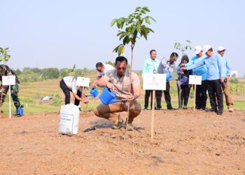 Peringati Hari Lingkungan Hidup Sedunia, Menteri AHY Tanam 100.000 Serentak se-Indonesia
