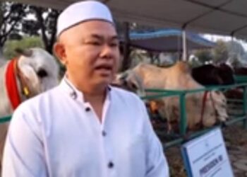 Salat Ied di Semarang, Jokowi Beri Sapi Seberat 1,23 Ton