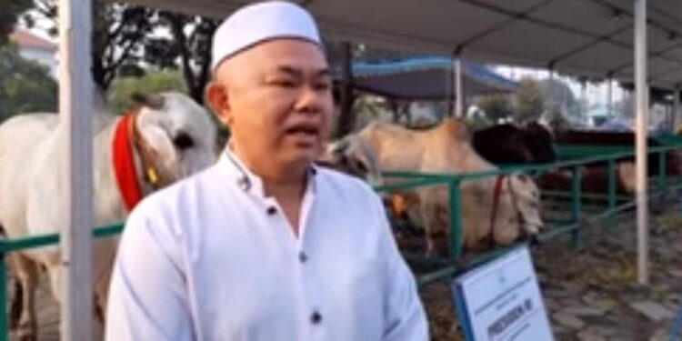 Salat Ied di Semarang, Jokowi Beri Sapi Seberat 1,23 Ton