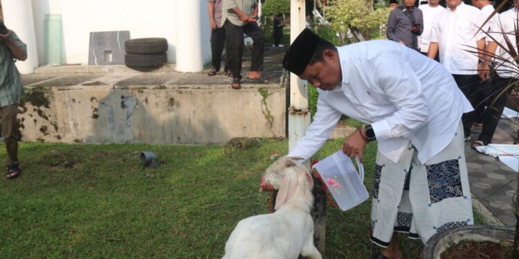 Pemkab Bogor Salurkan 95 Ekor Sapi dan Domba Untuk Masyarakat Kabupaten Bogor Pada Perayaan Idul Adha 1445