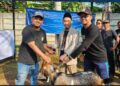 Rayakan Idul Adha 1445H, PLN Gunung Putri Potong 16 Hewan Kurban