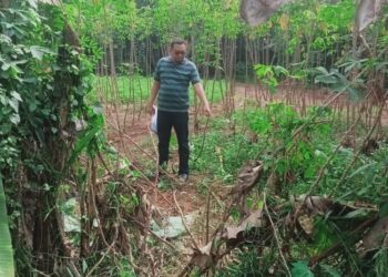 Wanita Paruhbaya Menjadi Korban Penganiayaan dan Percobaan Pemerkosaan di Kebon Singkong