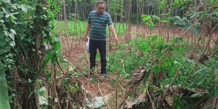 Wanita Paruhbaya Menjadi Korban Penganiayaan dan Percobaan Pemerkosaan di Kebon Singkong