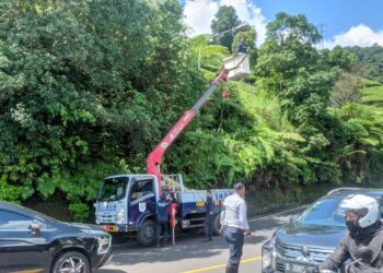 Penerangan Untuk Kawasan Puncak, Pemkab Bogor Siapkan 341 PJU