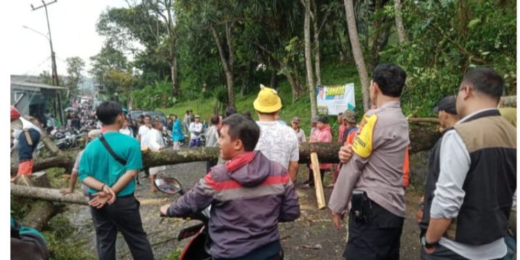 Diterjang Angin Putting Beliung, 4 Rumah Rusak