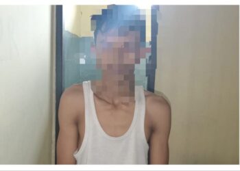 Sebulan Buron Spesialis Pencurian Hewan Kerbau di Bekuk