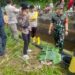 Tragisss !!! Mayat Bayi Perempuan “Ngambang” di Aliran Waterway PT Tamaris