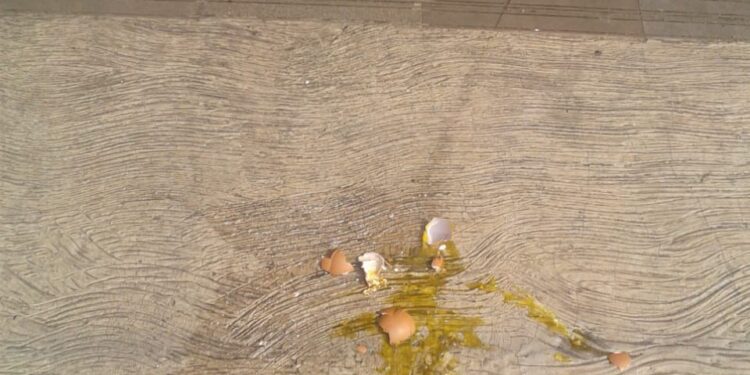 Ngeri, Rumah Anggota DPRD Kota Bogor di Teror Telur Busuk