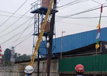 PLN ULP Cileungsi Lakukan Pemeliharaan SUTM untuk Jaga Kualitas Layanan ke Pelanggan