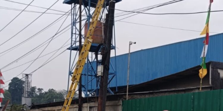 PLN ULP Cileungsi Lakukan Pemeliharaan SUTM untuk Jaga Kualitas Layanan ke Pelanggan