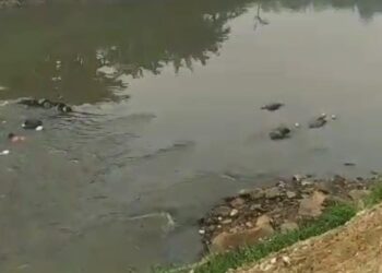 7 Mayat Mengapung di Sungai Jatiasih, Ini kata Kombes Dani