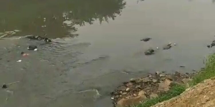 7 Mayat Mengapung di Sungai Jatiasih, Ini kata Kombes Dani