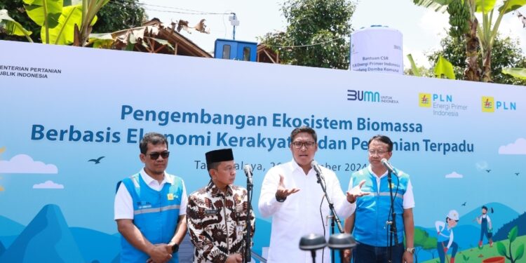Ubah Lahan Kritis Jadi Hijau dan Produktif, PLN Kembangkan Ekosistem Biomassa Berbasis Pertanian Terpadu