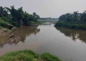 Lebih dari 6 HTH Sungai Cileungsi Masih Aman, Ini Kata KP2C