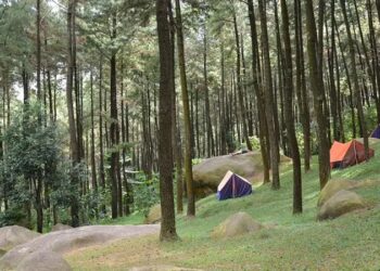 Wisata Alam Gunung Pancar, Rekomendasi untuk Kamu yang Sedang Jenuh Dirumah Terus