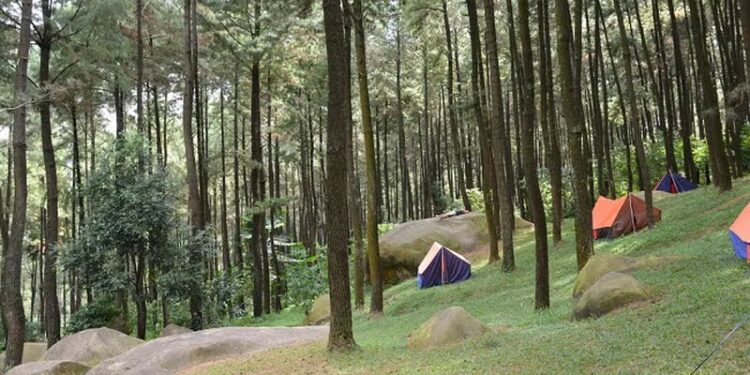 Wisata Alam Gunung Pancar, Rekomendasi untuk Kamu yang Sedang Jenuh Dirumah Terus