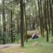Wisata Alam Gunung Pancar, Rekomendasi untuk Kamu yang Sedang Jenuh Dirumah Terus