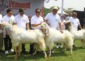 Rudy Susmanto “Bapak Peternak” Kabupaten Bogor