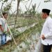 Dengarkan Keluhan Petani yang Sulit Dapat Pupuk Subsidi, Cawabup Jaro Ade : Jangan Khawatir itu Masuk Visi Misi Kami