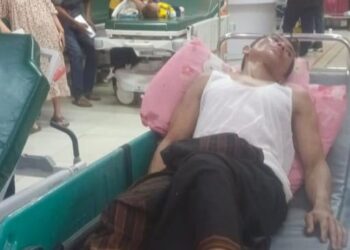 Ini kata Dedi Pasca di Seruduk Babi Hutan