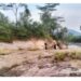 Ikuti Kegiatan Pramuka, Siswa MI Tanjungsari Tenggelam di Sungai Cibeet