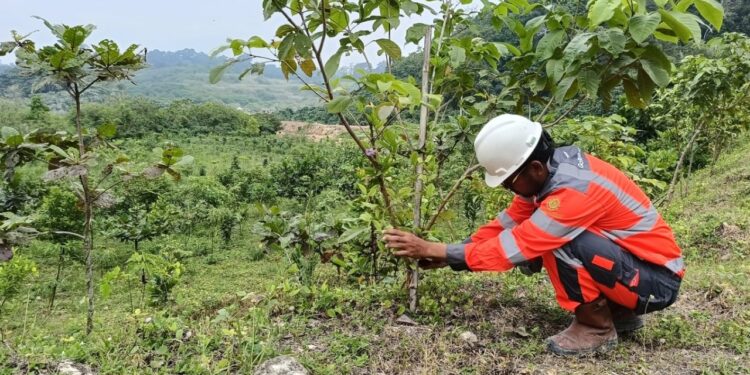 Dorong Penggunaan Semen Ramah Lingkungan, Solusi Bangun Indonesia Sasar Peluang Pertumbuhan dari Pembangunan Infrastruktur dan Perumahan yang Berkelanjutan
