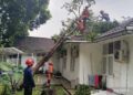 Rumah Dinas Kapolresta Bogor tertimpa Pohon