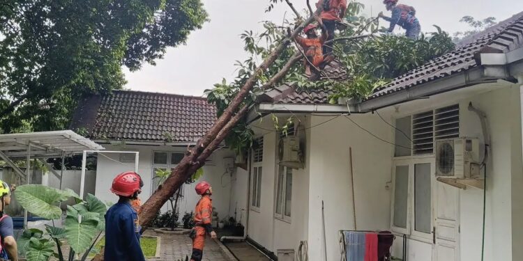 Rumah Dinas Kapolresta Bogor tertimpa Pohon