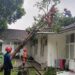 Rumah Dinas Kapolresta Bogor tertimpa Pohon
