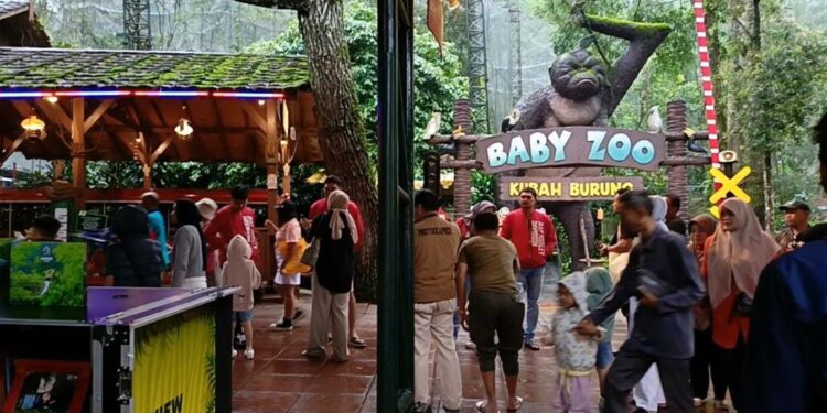 Libur Nataru, 8000 Wisatawan per Hari Kunjungi Taman Safari Indonesia Bogor