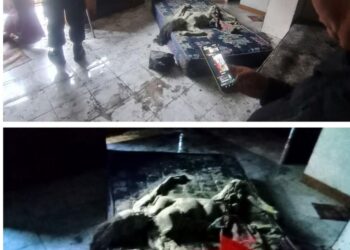 Mayat Wanita Ditemukan Membusuk Dalam Rumah Kosong, AKP Hendra : Dugaan ODGJ