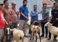 Tingkatkan Ketahanan Pangan, PT Wijaya Karya Serahkan 10 Ekor Kambing Kepada Kelompok Mitra Mandiri