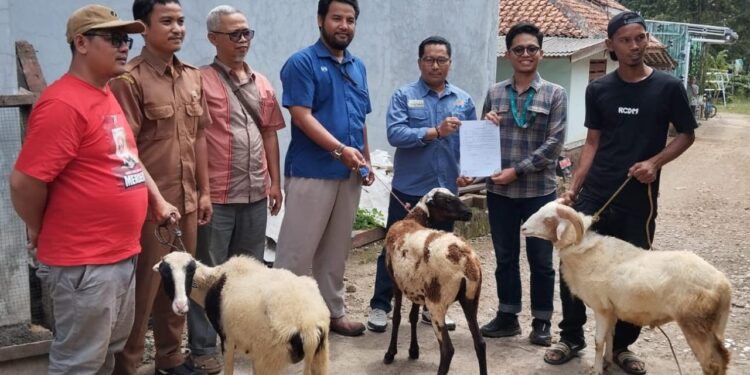 Tingkatkan Ketahanan Pangan, PT Wijaya Karya Serahkan 10 Ekor Kambing Kepada Kelompok Mitra Mandiri