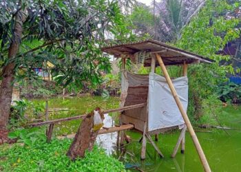 Masih ada ODF, Bupati Terpilih Jangan cuma Mikirin Jalan tapi Pikirkan juga Soal Jamban