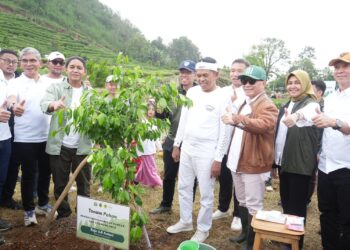 Pemkab Bogor Ikut Sukseskan Aksi Penghijauan Bersama Menteri Kehutanan RI dan Gubernur Jawa Barat di Cisarua