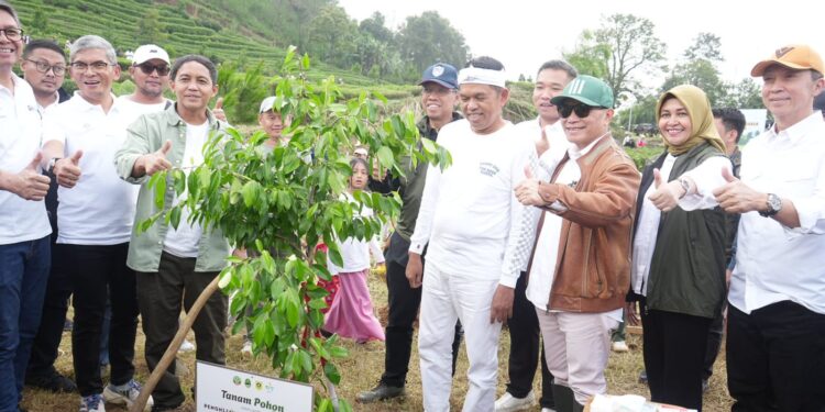 Pemkab Bogor Ikut Sukseskan Aksi Penghijauan Bersama Menteri Kehutanan RI dan Gubernur Jawa Barat di Cisarua