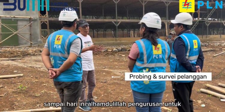 PLN Jonggol Lakukan Penyambungan Listrik Baru untuk Peternakan Ayam Broiler Berkapasitas 75.000 Ekor