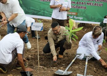 Wujud Penataan Akses Tanah Ulayat Pertama di Indonesia, Wamen ATR/Waka BPN Tanam Pisang di Jembrana