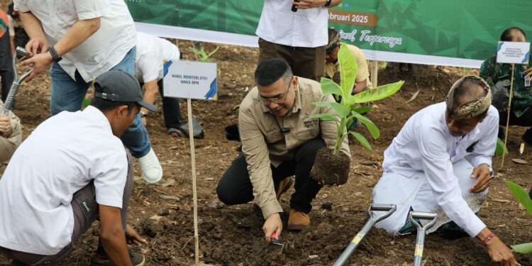 Wujud Penataan Akses Tanah Ulayat Pertama di Indonesia, Wamen ATR/Waka BPN Tanam Pisang di Jembrana