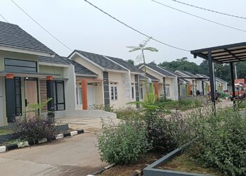 Tim PWI Tinjau Cepat Lokasi Rumah Subsidi Wartawan, Ketua Umum Apresiasi Komitmen Pemerintah