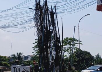 Setelah Makan Korban Petugas Optik Sibuk Perbaiki Kabel, Diskominfo Ikut Andil