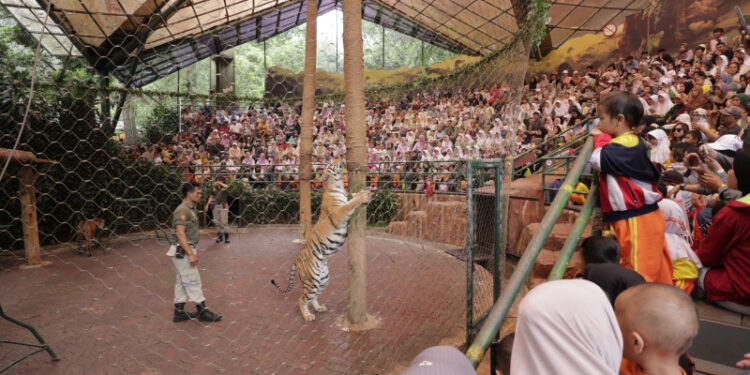 Taman Safari Indonesia Diserbu 11.000 Pengunjung Saat Libur Lebaran