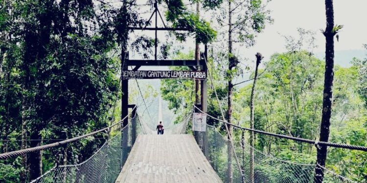 Jembatan Gantung Lembah Purba, Ikon Wisata Alam Terpanjang se-Asia Tenggara di Sukabumi