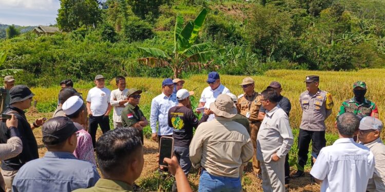 Komisi I DPRD Kabupaten Bogor Turun Ke Sawah Tinjau Lahan Yang Masuk Plotingan IPB