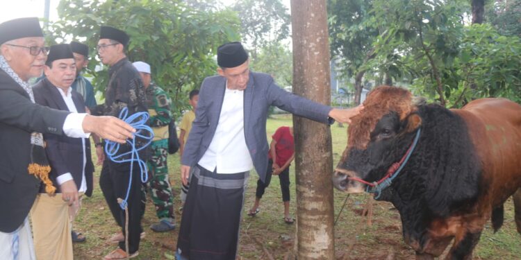 Peringati Idul Adha 1446 H, Pemkab Bogor Distribusikan Hewan Kurban ke Lembaga Keagamaan